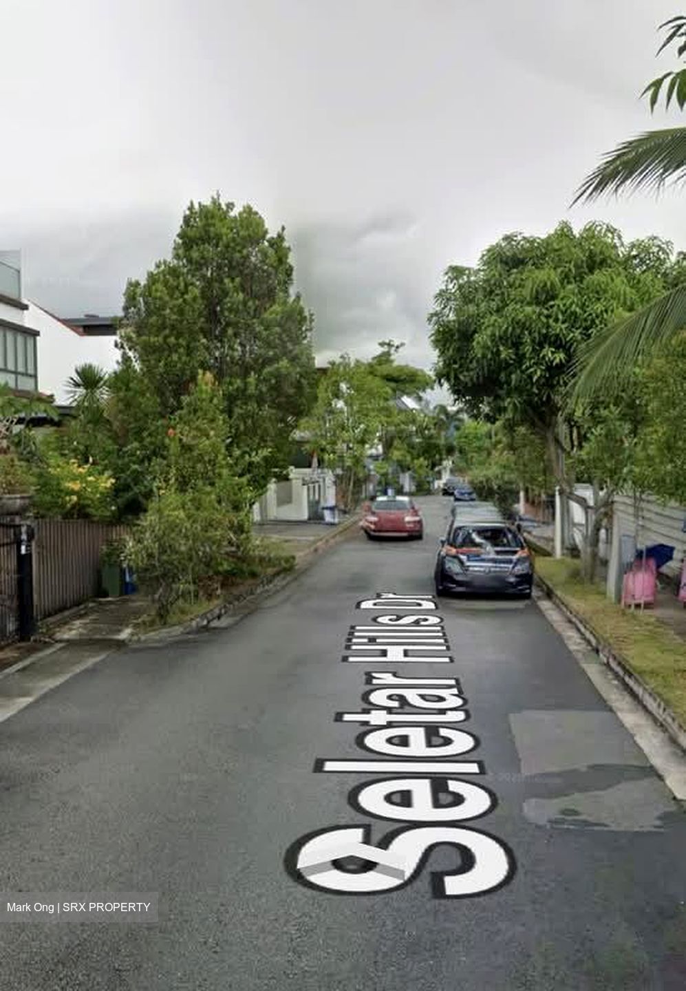 Seletar Hills Estate (D28), Semi-Detached #602342561
